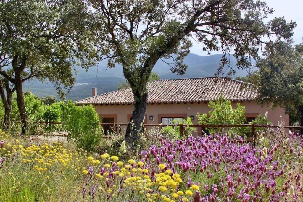 Casa Rural La Joyona Los Navalucillos Buitenkant foto
